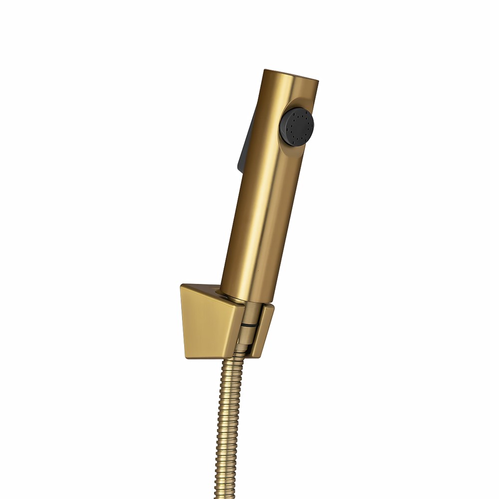 Round Brushed Brass ABS Toilet Bidet Spray Kit with Stainless Steel Hose