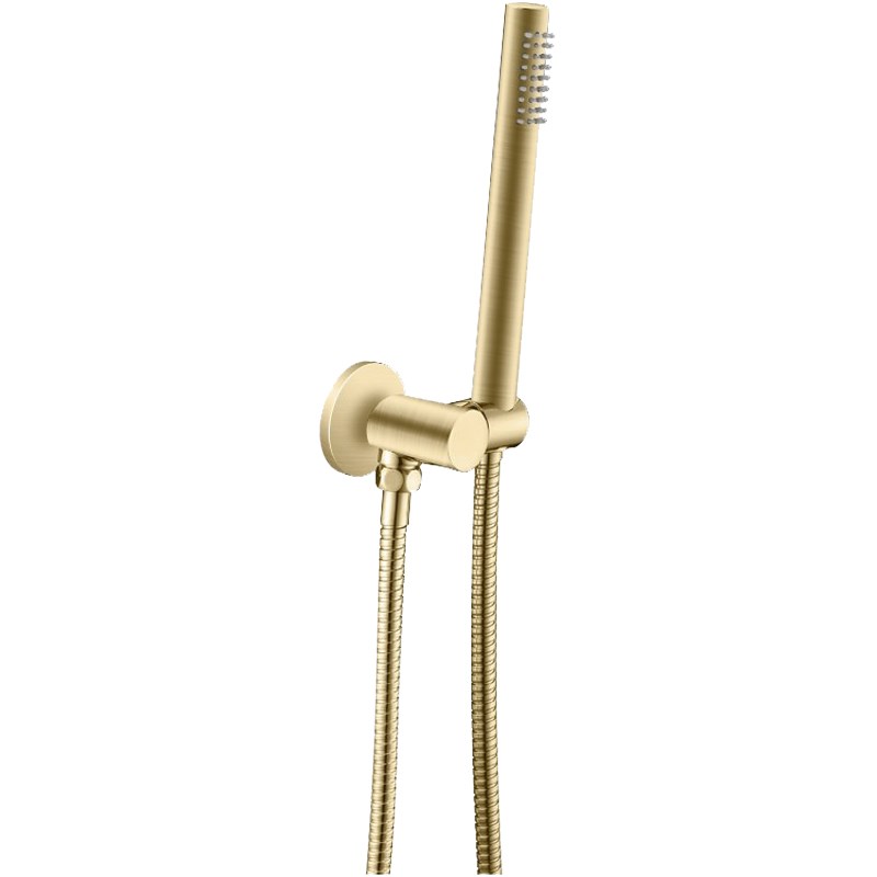 Round Light Brushed Brass Shower Rail with Handheld Shower(Stainless Steel Hose)