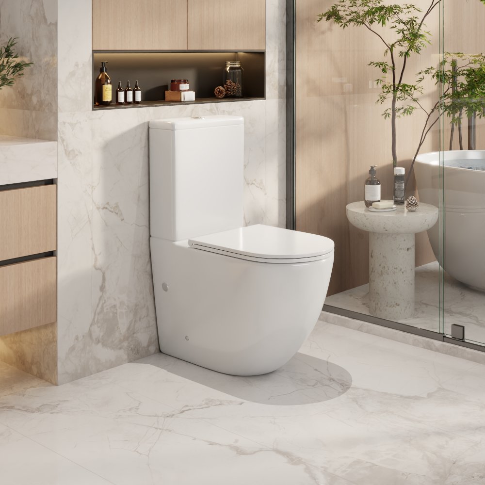 Norton Back-to-Wall Toilet Suite - Gloss White