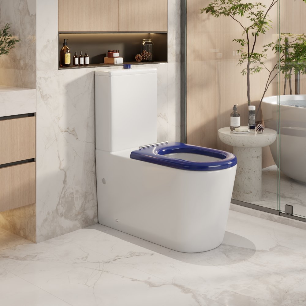 Pani Back-to-Wall Toilet Suite - Gloss White